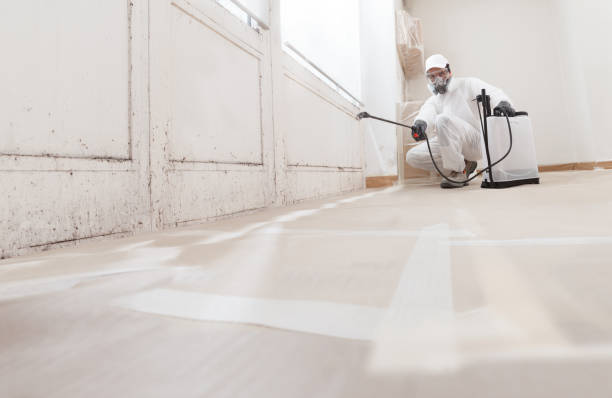 24/7 Emergency Basement Mold Remediation experts in Trenton, TN